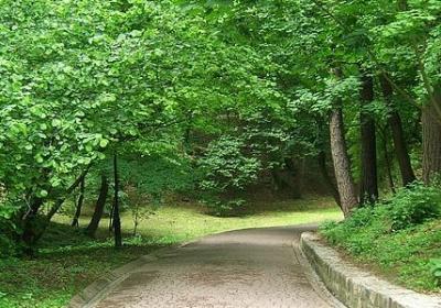 罗贯中的名言(必备40句)