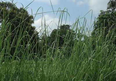 自由的名人名言(必备49句)