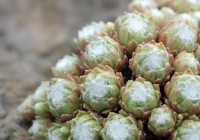 磨难名言名句(热门60句) 磨难名言名句(热门60句)