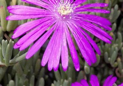 莎士比亚的名言英文(10句) 莎士比亚的名言英文(10句)