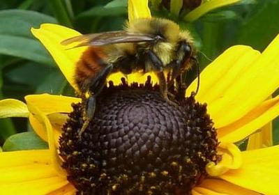 精神世界的名言(必备60句) 精神世界的名言(必备60句)