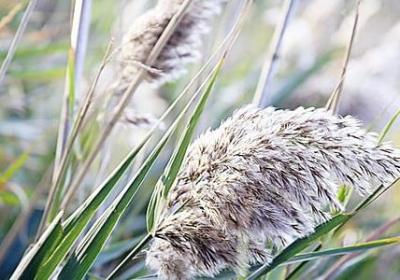 良好的心态的名言(通用40句) 良好的心态的名言(通用40句)