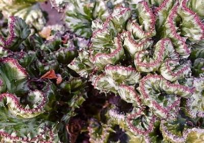 精神财富的名言(共80句) 精神财富的名言(共80句)