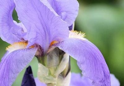 至理名言大全(优选80句) 至理名言大全(优选80句)