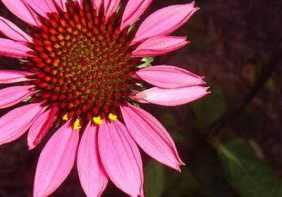 释迦摩尼名言(80句) 释迦摩尼名言(80句)