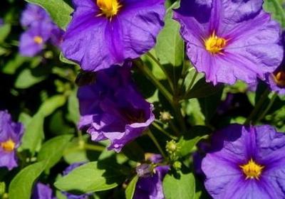 道德名人名言(汇总20句)