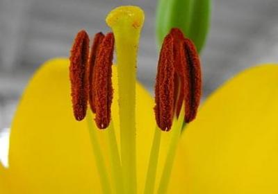 读书的名言10字(通用59句)