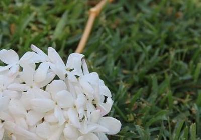 读书好处的名言(共49句) 读书好处的名言(共49句)