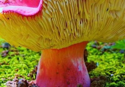 诚信经商的名言(必备40句) 诚信经商的名言(必备40句)