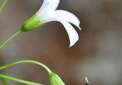 遵守纪律的名言(汇总50句) 遵守纪律的名言(汇总50句)