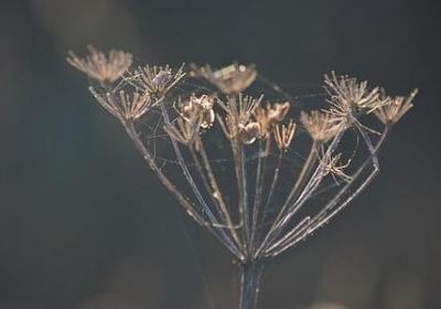跑步语录经典语录(优选60句)
