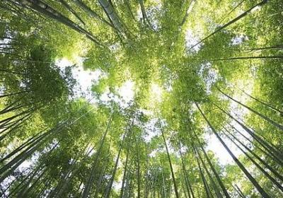 莫泊桑一生经典语录(汇总50句)