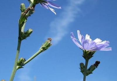 遵从内心的名言(40句) 遵从内心的名言(40句)