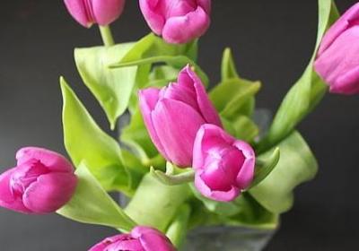 读书名言一年级(30句) 读书名言一年级(30句)