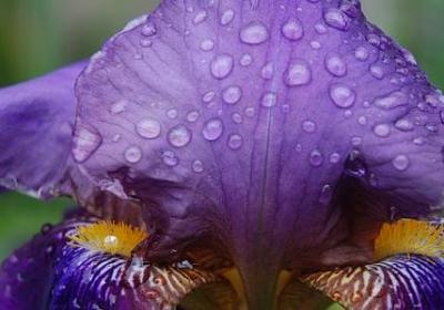 赞美老师的名人名言(优选40句) 赞美老师的名人名言(优选40句)