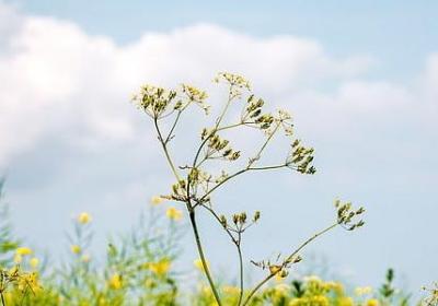 读好书的名言(共52句) 读好书的名言(共52句)