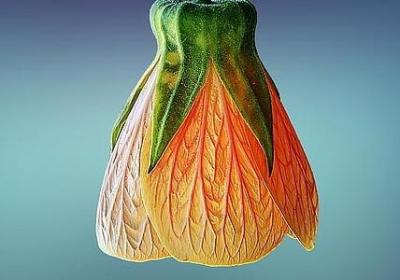 赞美家乡的名言(推荐60句) 赞美家乡的名言(推荐60句)