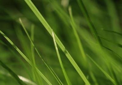 说话算数的名言(40句) 说话算数的名言(40句)