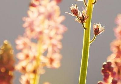 诺贝尔的名言(汇总41句) 诺贝尔的名言(汇总41句)