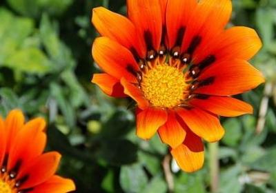 送给老师的名言(精选80句)