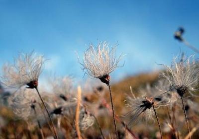 舞蹈的名言名句(优选70句)