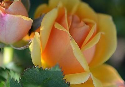 至理名言 励志(共50句)