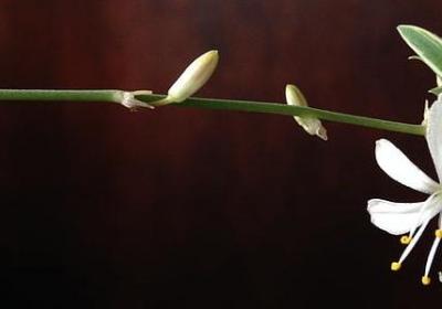 老人与海 名言(精选20句)