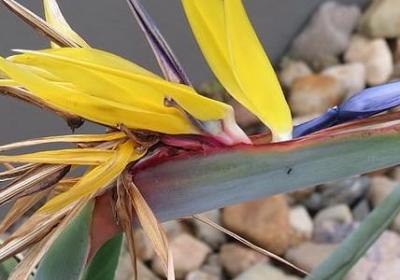 自信名言(汇总20句) 自信名言(汇总20句)