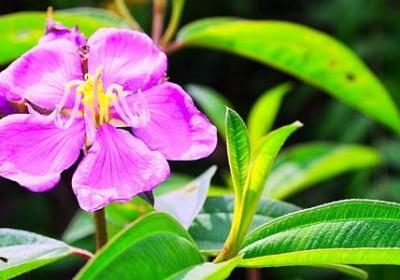 节约时间的名言(热门59句) 节约时间的名言(热门59句)