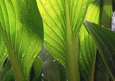 简短英语名言(推荐80句)