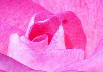 舍身取义的名言(70句) 舍身取义的名言(70句)