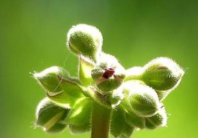 考试的名人名言(合集60句) 考试的名人名言(合集60句)