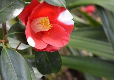 篮球精神名言(精选30句) 篮球精神名言(精选30句)