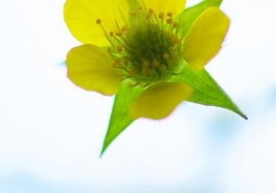 端正态度的名言(70句) 端正态度的名言(70句)