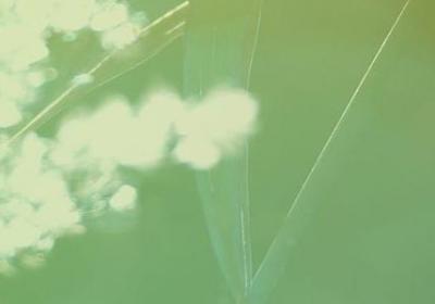 老子名言100句(通用100句) 老子名言100句(通用100句)