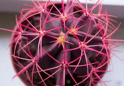 英文名言名句(汇总96句) 英文名言名句(汇总96句)