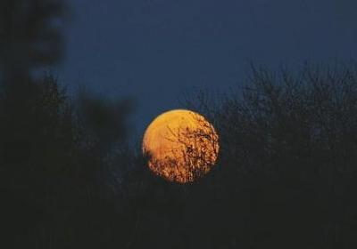 红楼梦的名言(优选78句) 红楼梦的名言(优选78句)