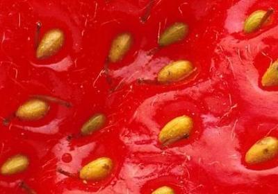 警句名言大全(68句)