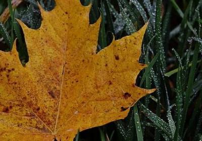 郭德纲说的名言(精选20句)