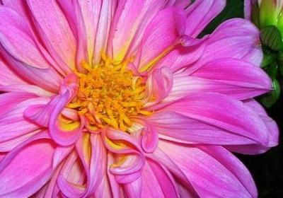 销售名人名言(39句) 销售名人名言(39句)