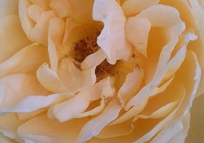 诚信的古代名言(精选121句) 诚信的古代名言(精选121句)