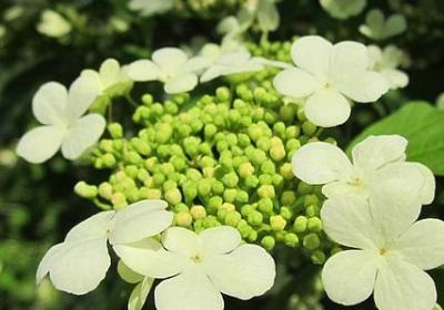 蜘蛛侠的名言(优选40句) 蜘蛛侠的名言(优选40句)