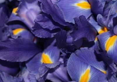 责任与担当的名言(推荐21句) 责任与担当的名言(推荐21句)