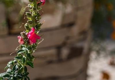 读书感悟的名言(50句) 读书感悟的名言(50句)