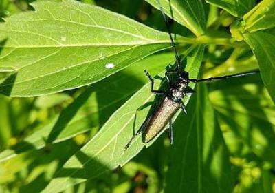 钓鱼名言名句(热门50句) 钓鱼名言名句(热门50句)