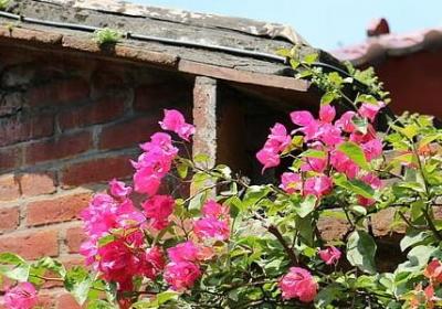 赞美音乐的名言(精选40句) 赞美音乐的名言(精选40句)