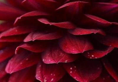 道德与法治名言(优选120句) 道德与法治名言(优选120句)