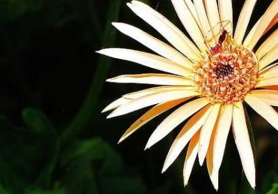 诚信名言 名句(实用60句) 诚信名言 名句(实用60句)