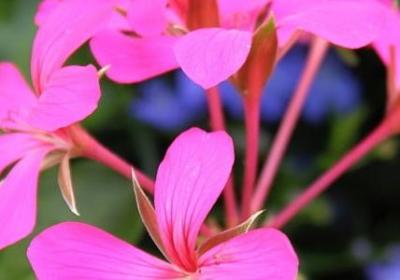 读书名言警句摘抄大全(推荐60句) 读书名言警句摘抄大全(推荐60句)