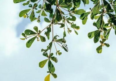 读书有用的名言(推荐80句) 读书有用的名言(推荐80句)